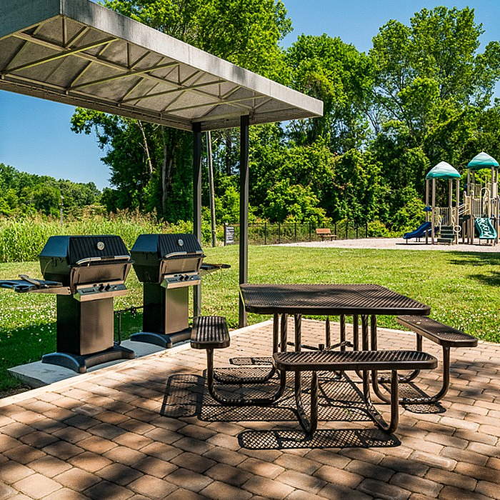 Inviting outdoor space with dual grills, picnic table, and scenic view of lush greenery and playground.