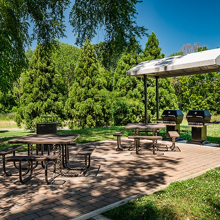 Charming outdoor grilling area with shaded picnic tables amidst lush greenery, perfect for gatherings and relaxation.