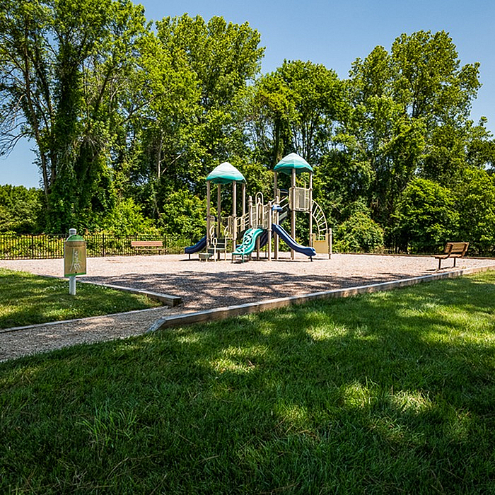 Charming playground nestled in a lush green park, featuring vibrant slides and climbing structures under a clear blue sky.