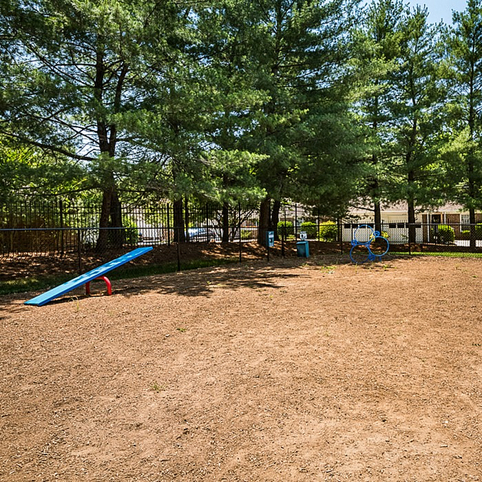 Charming dog park with tall trees, a blue seesaw, and playful exercise equipment, perfect for pet-friendly living.