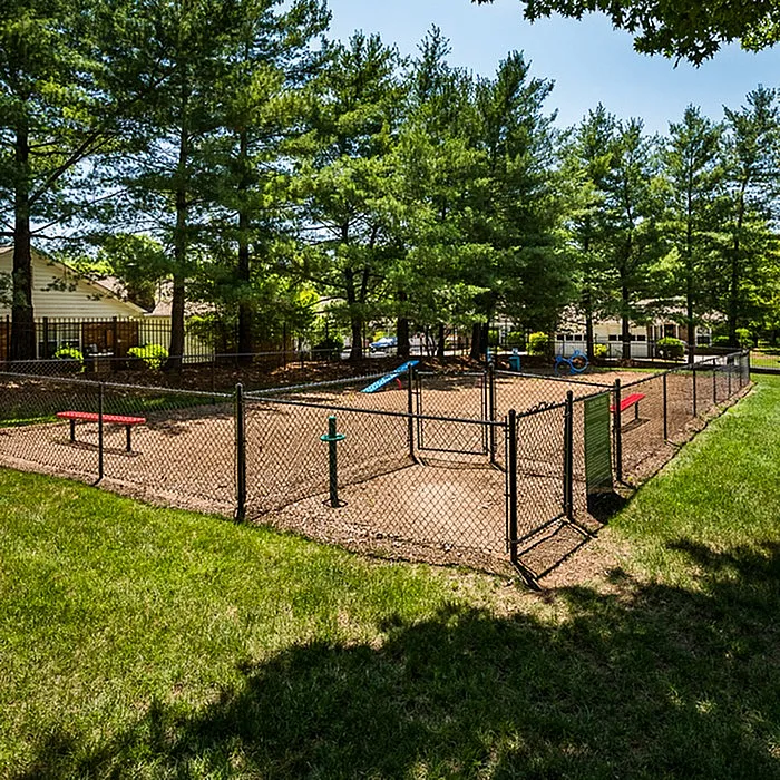 Charming dog park surrounded by lush greenery and tall trees, ideal for pets to play and explore.