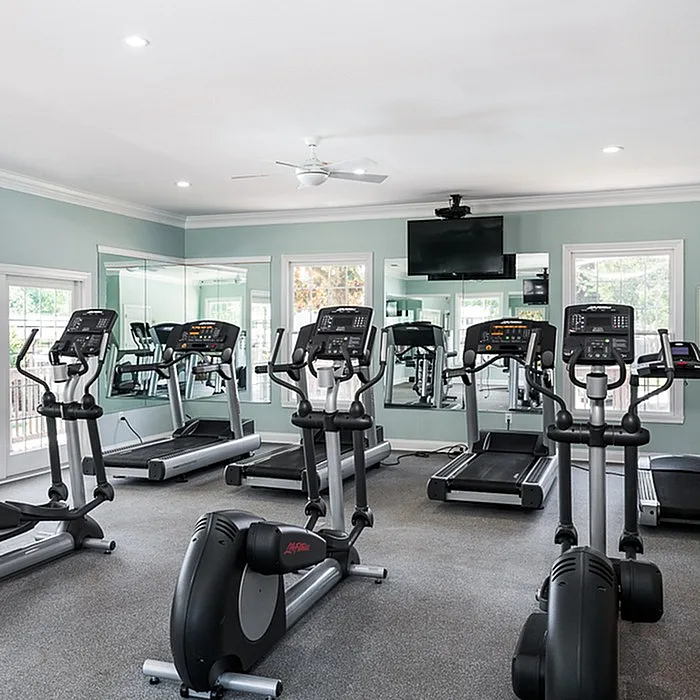 Modern fitness center with state-of-the-art treadmills and mirrored walls, offering a vibrant and motivating workout environment.