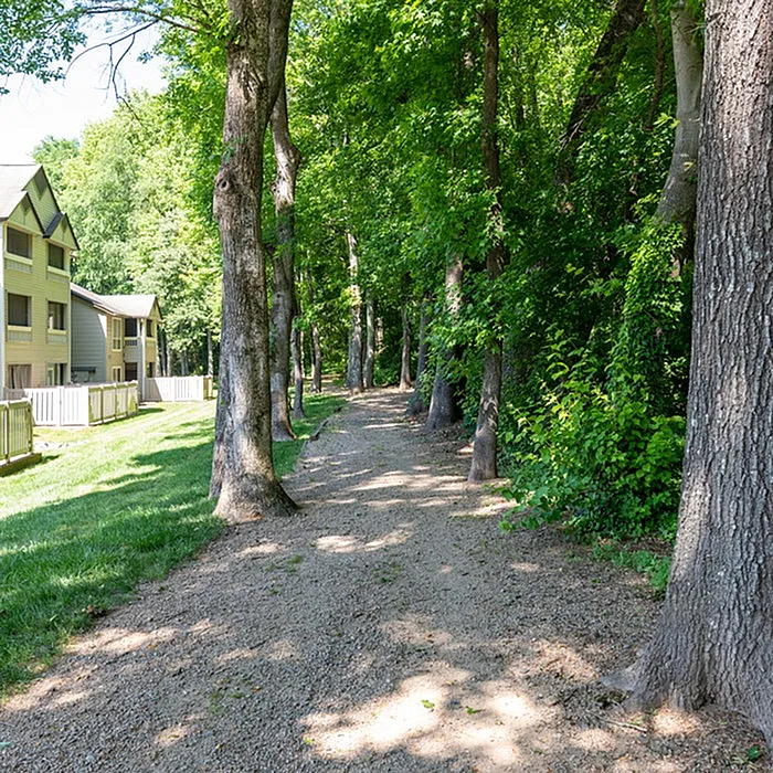 Scenic apartment view with lush green trees along a tranquil walking path, perfect for nature lovers.
