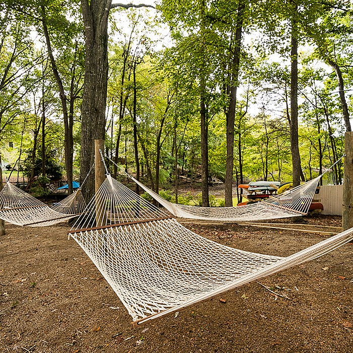 Serene outdoor space with multiple hammocks strung between trees, perfect for relaxation in a peaceful woodland setting.