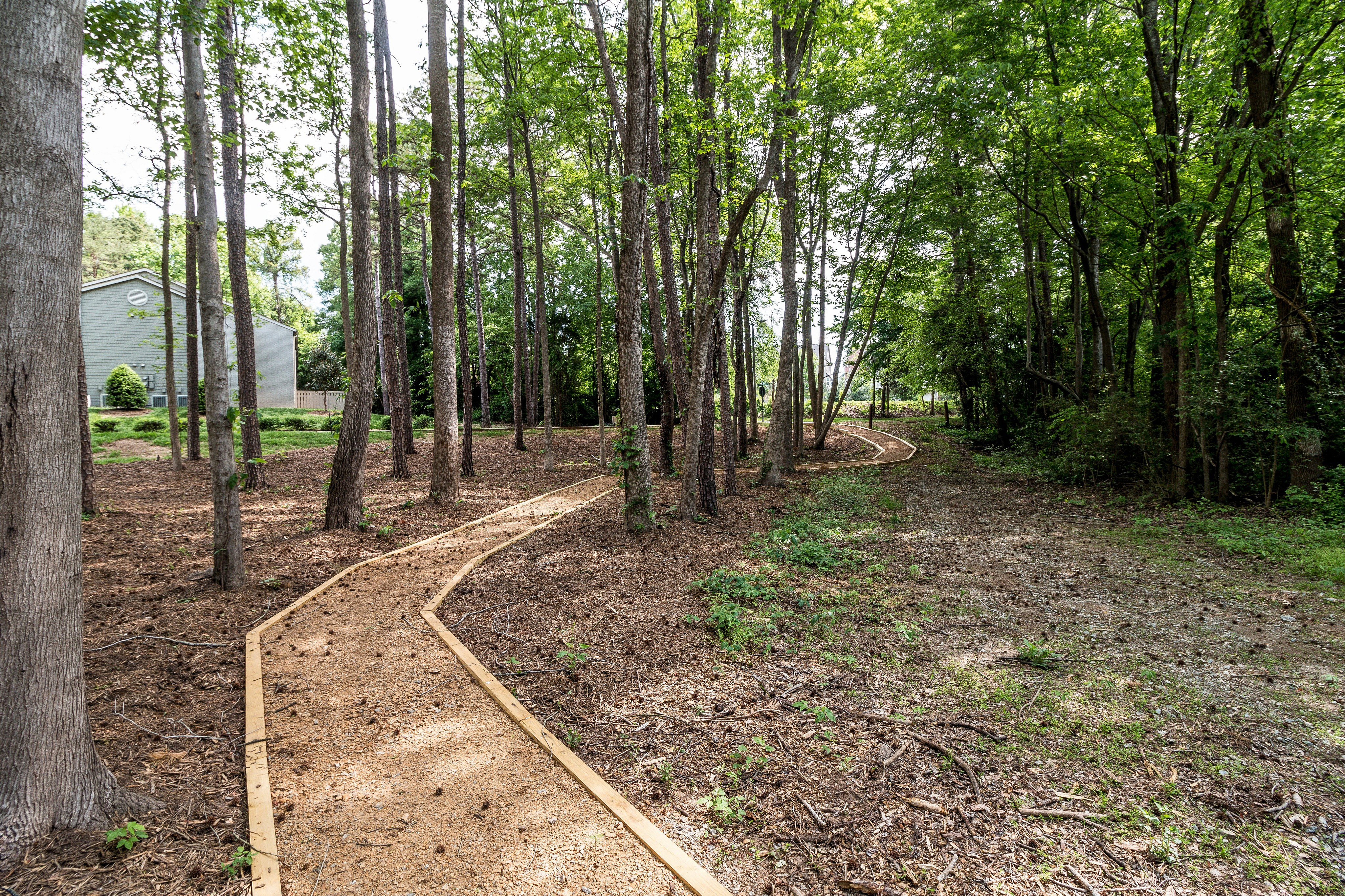 Charming wooded trail leading to a secluded residential area, surrounded by lush greenery and tall trees, perfect for a peaceful nature walk.