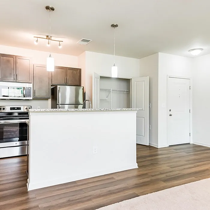 Elegant open kitchen with modern stainless steel appliances and sleek cabinetry in a bright, welcoming space.
