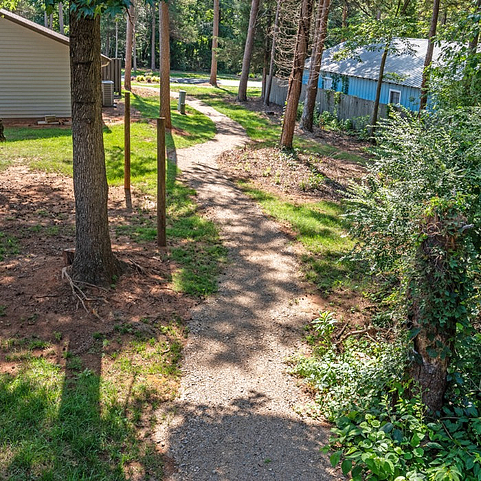 Charming pathway through lush greenery leading to a quiet residential area, highlighting serene outdoor living.