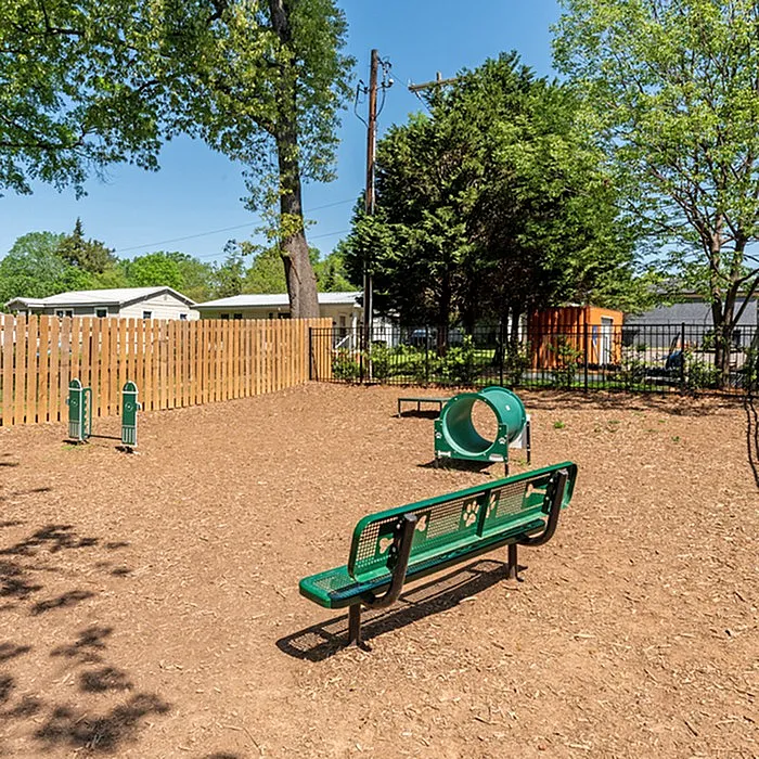 Inviting outdoor dog park with agility equipment and benches, set against a backdrop of lush green trees and sunny skies.