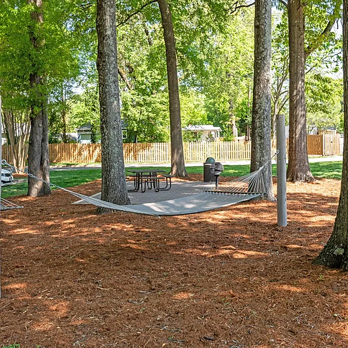 Tranquil outdoor space featuring a relaxing hammock, picnic table, and barbecue grill beneath lush trees.