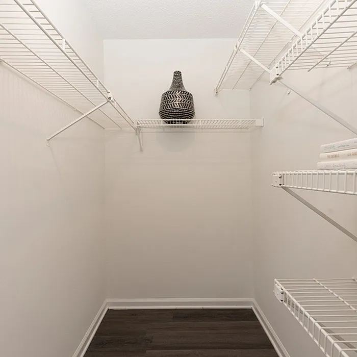Spacious and well-lit walk-in closet with sleek wire shelving and stylish decor accent.