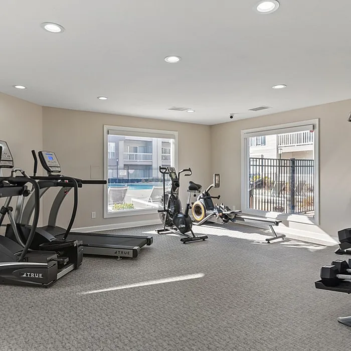 Modern fitness center with state-of-the-art equipment, bright natural lighting, and elegant design.