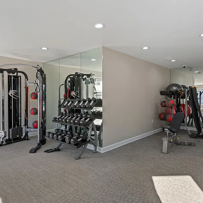 Modern fitness center with versatile gym equipment, mirrored walls, and ample lighting perfect for wellness enthusiasts.