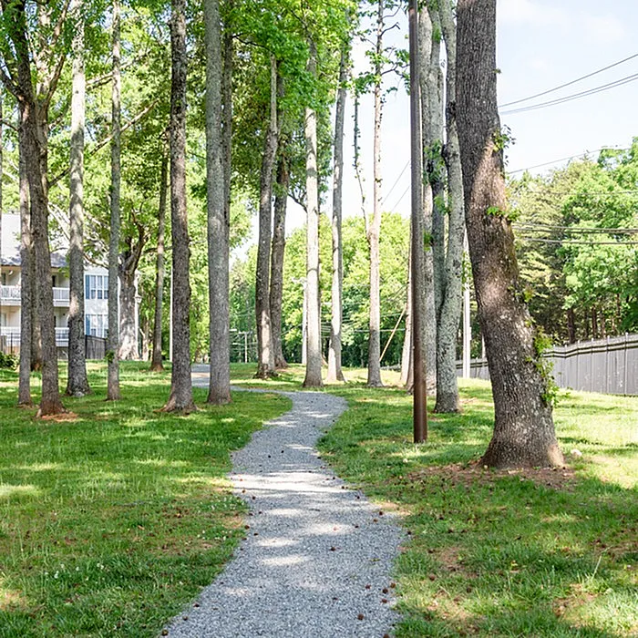 Serene apartment pathway surrounded by lush greenery and tall trees, offering a peaceful and natural living environment.