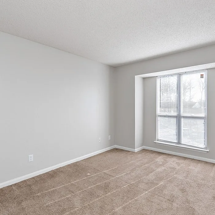 Bright and inviting empty room with plush carpet and a large window, perfect for transforming into a cozy bedroom or office space.
