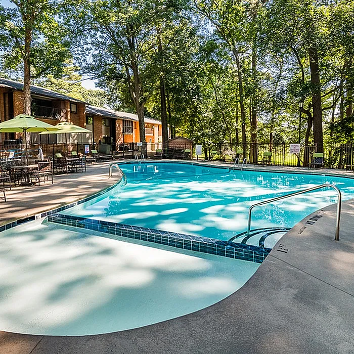 Inviting outdoor pool area with sunlit water surrounded by lush trees and cozy seating, perfect for relaxation and leisure.