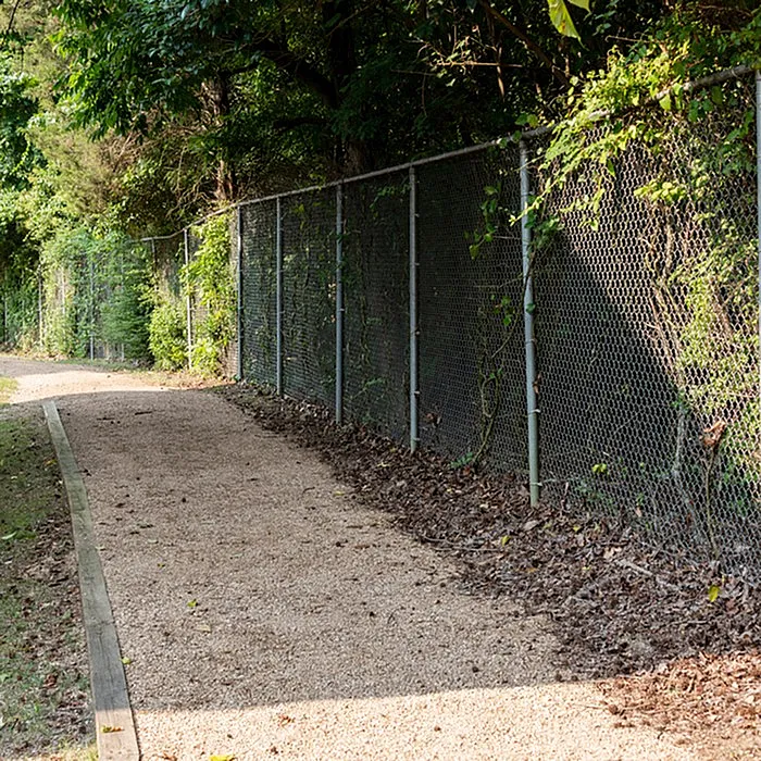Charming pathway with lush greenery and a chain-link fence, perfect for leisurely strolls and outdoor relaxation.