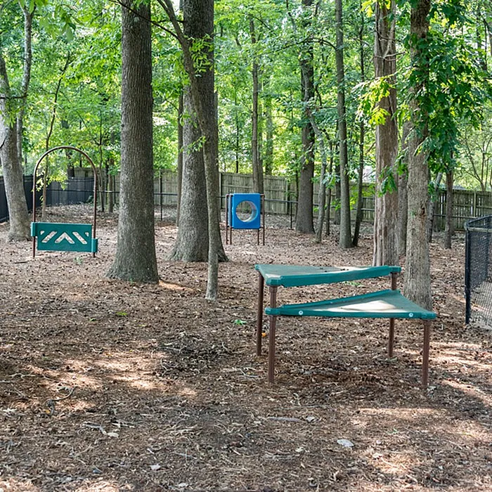 Inviting outdoor play area nestled in a lush forest setting, featuring modern playground equipment and spacious, natural surroundings.