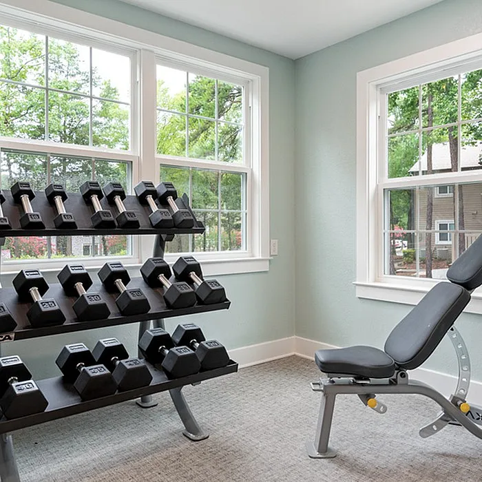 Bright home gym with a set of dumbbells and an adjustable bench, surrounded by large windows overlooking lush greenery.