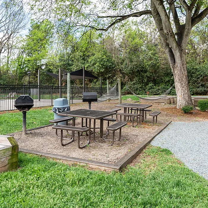 Inviting outdoor space with picnic tables and grills surrounded by lush greenery, perfect for social gatherings and relaxation.