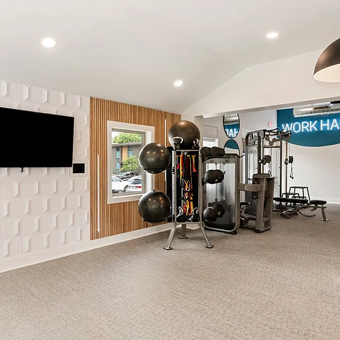 Modern fitness center with state-of-the-art gym equipment, sleek wall design, and natural light from a large window.