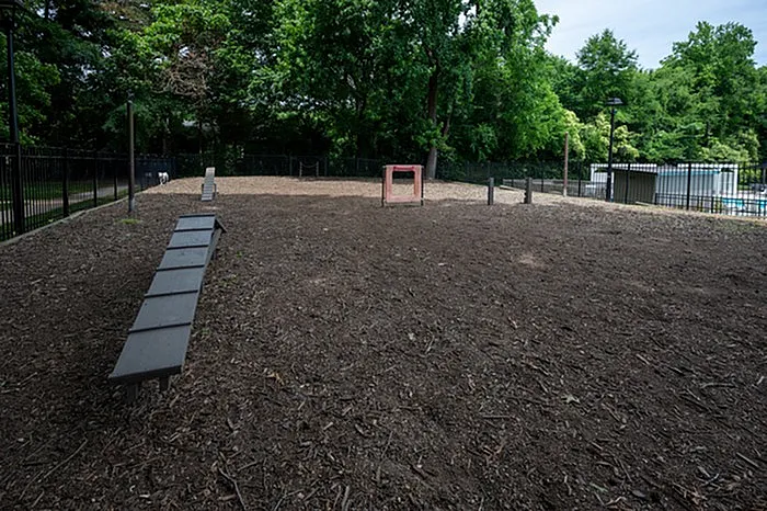 Spacious and inviting outdoor dog park featuring agility equipment surrounded by lush greenery, perfect for pet-friendly living.
