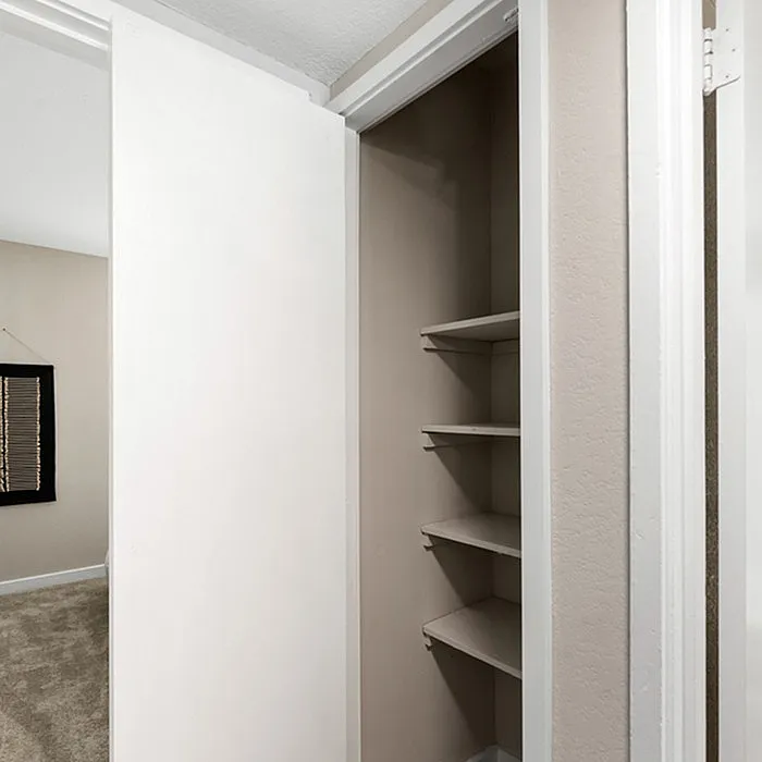 Bright and spacious closet with built-in shelves, perfect for organized storage in a modern apartment.
