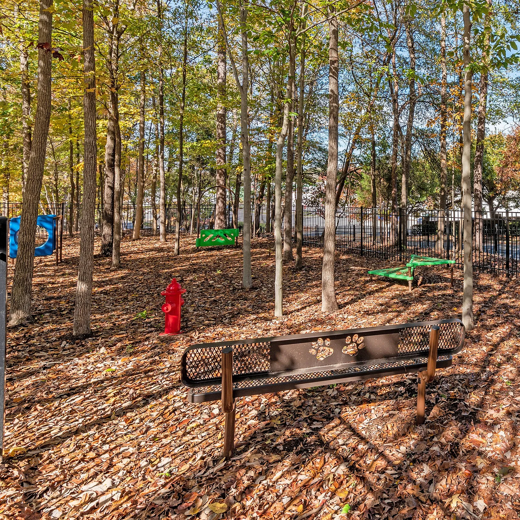 Charming dog park surrounded by trees, featuring a cozy bench with paw prints and playful agility equipment.