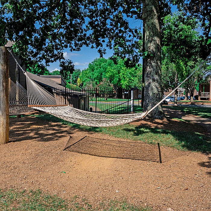 Inviting outdoor space featuring a cozy hammock under lush green trees, perfect for relaxation and enjoying nature.