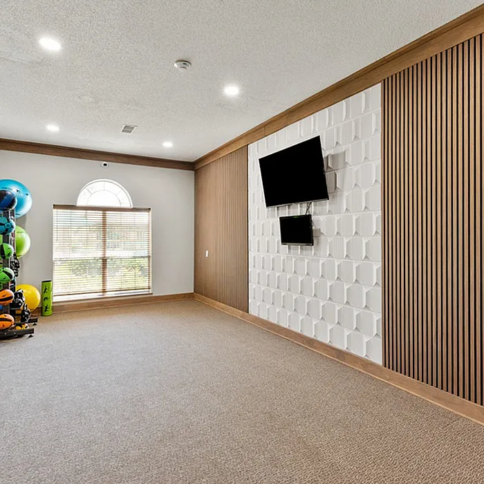 Modern fitness room with vibrant exercise balls, sleek wood paneling, and wall-mounted TVs, inviting a dynamic workout experience.
