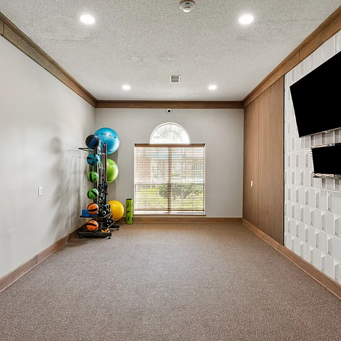 Modern fitness room featuring sleek exercise equipment and a stylish wall-mounted TV, ideal for a dynamic home workout experience.