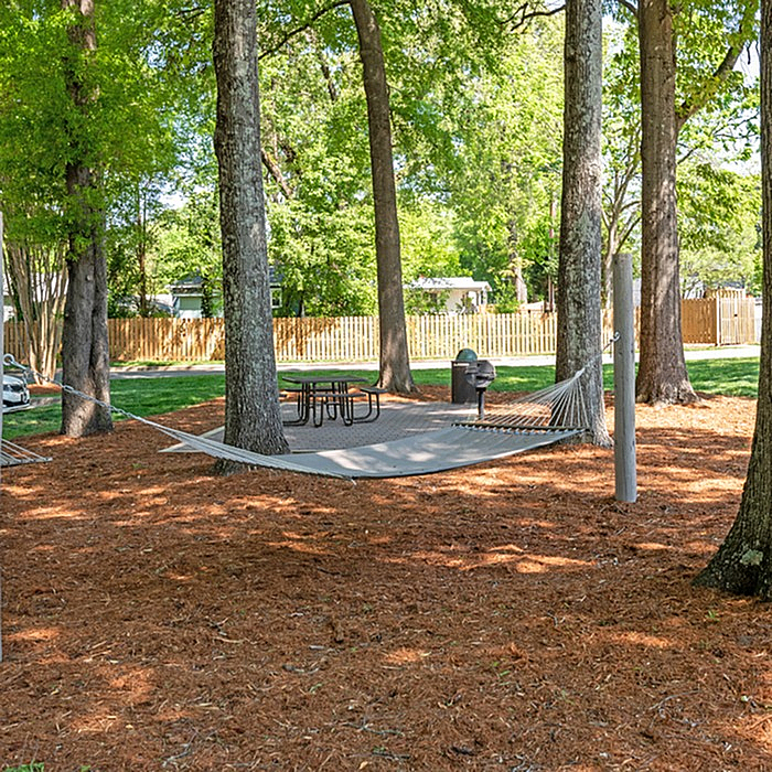 Inviting outdoor space with a cozy hammock, picnic table, and BBQ grill beneath lush trees, perfect for relaxation and gatherings.