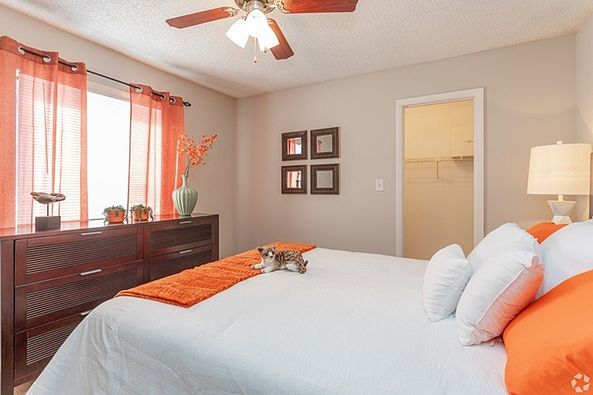 Inviting bedroom with modern decor, featuring vibrant orange accents, a cozy bed, and a playful cat, creating a warm atmosphere.