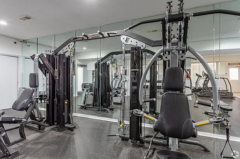 Modern fitness center equipped with state-of-the-art gym machines and mirrored walls, perfect for dynamic workouts.