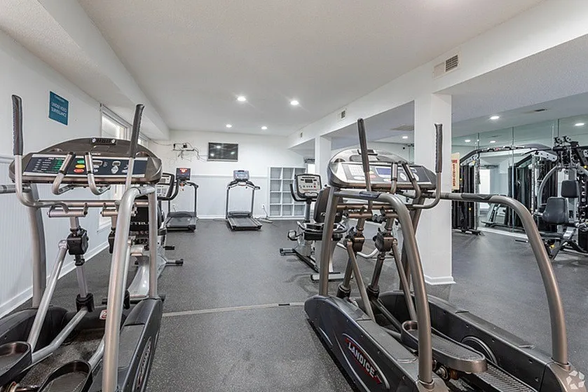 Modern fitness center with state-of-the-art treadmills and exercise equipment in a bright, spacious environment.