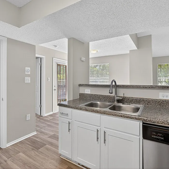 Bright and modern kitchen with sleek countertops, dual sink, and open view to a sunlit living area.