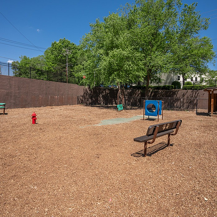 Inviting outdoor dog park with agility equipment, shaded trees, and comfortable bench seating.