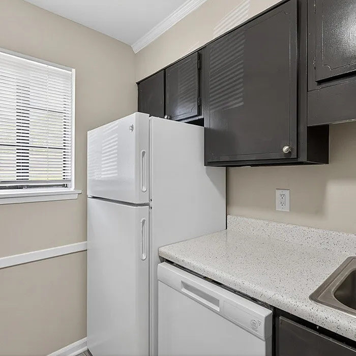 Charming kitchen with sleek dark cabinets, pristine white appliances, and ample natural light.