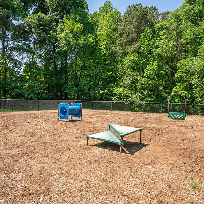 Expansive pet-friendly park with agility equipment surrounded by lush green trees, perfect for outdoor activities and relaxation.