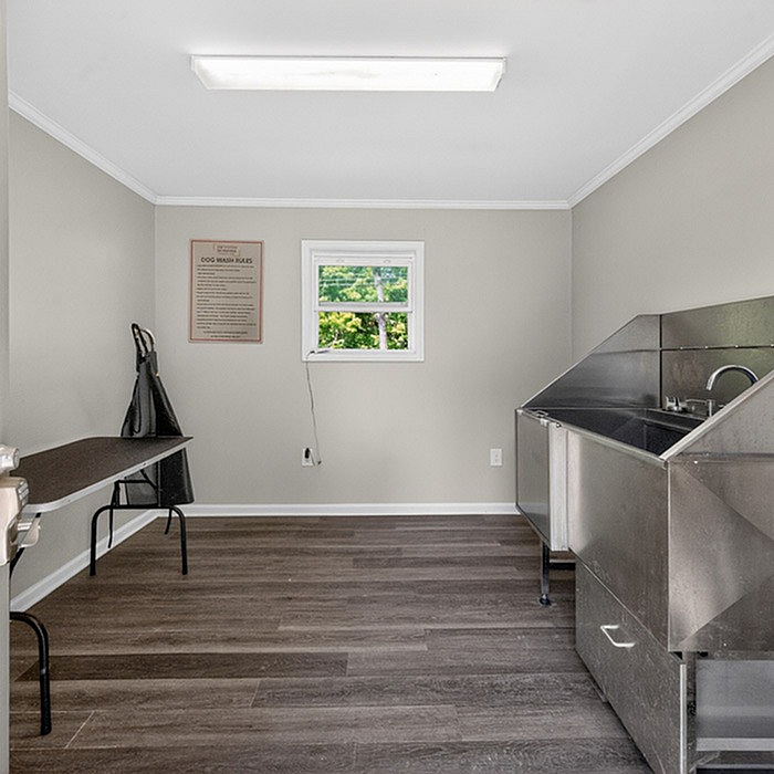 Modern pet wash station with sleek stainless steel sink, foldable grooming table, and bright natural lighting.