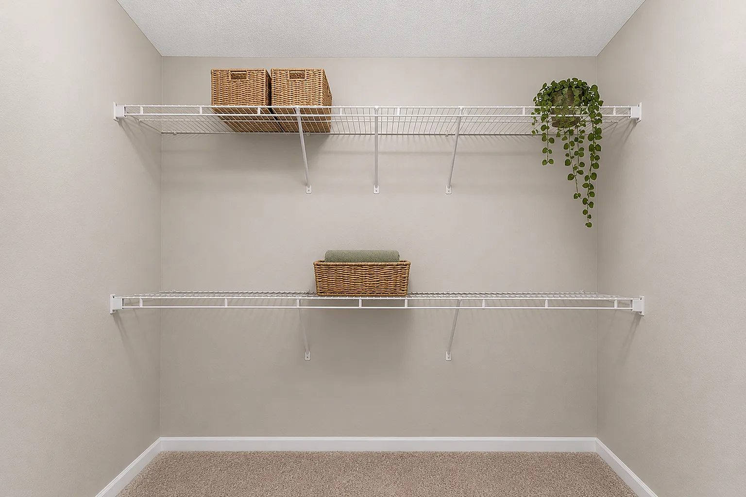 Spacious walk-in closet with elegant wire shelving, wicker baskets, and a decorative plant, ideal for organized living.