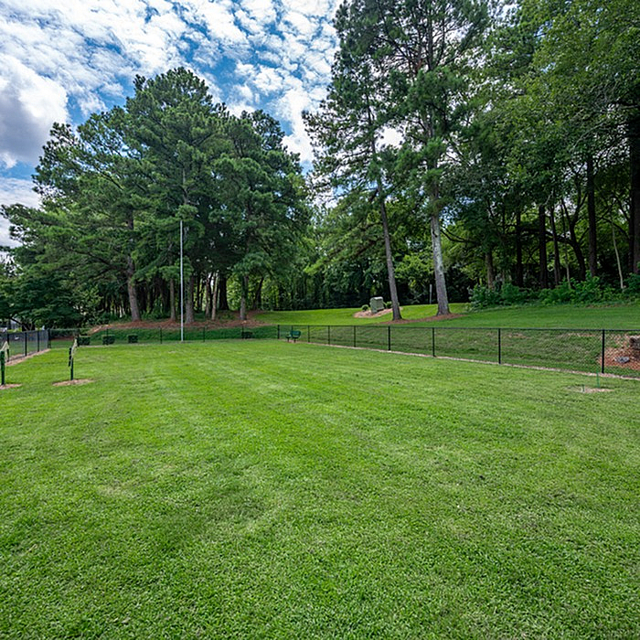 Expansive green lawn surrounded by lush trees, perfect for outdoor relaxation and activities.