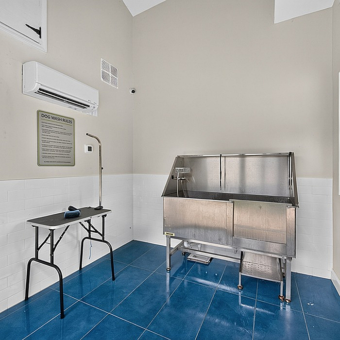 Modern pet washing station with sleek stainless steel tub and grooming table, featuring bright blue flooring.