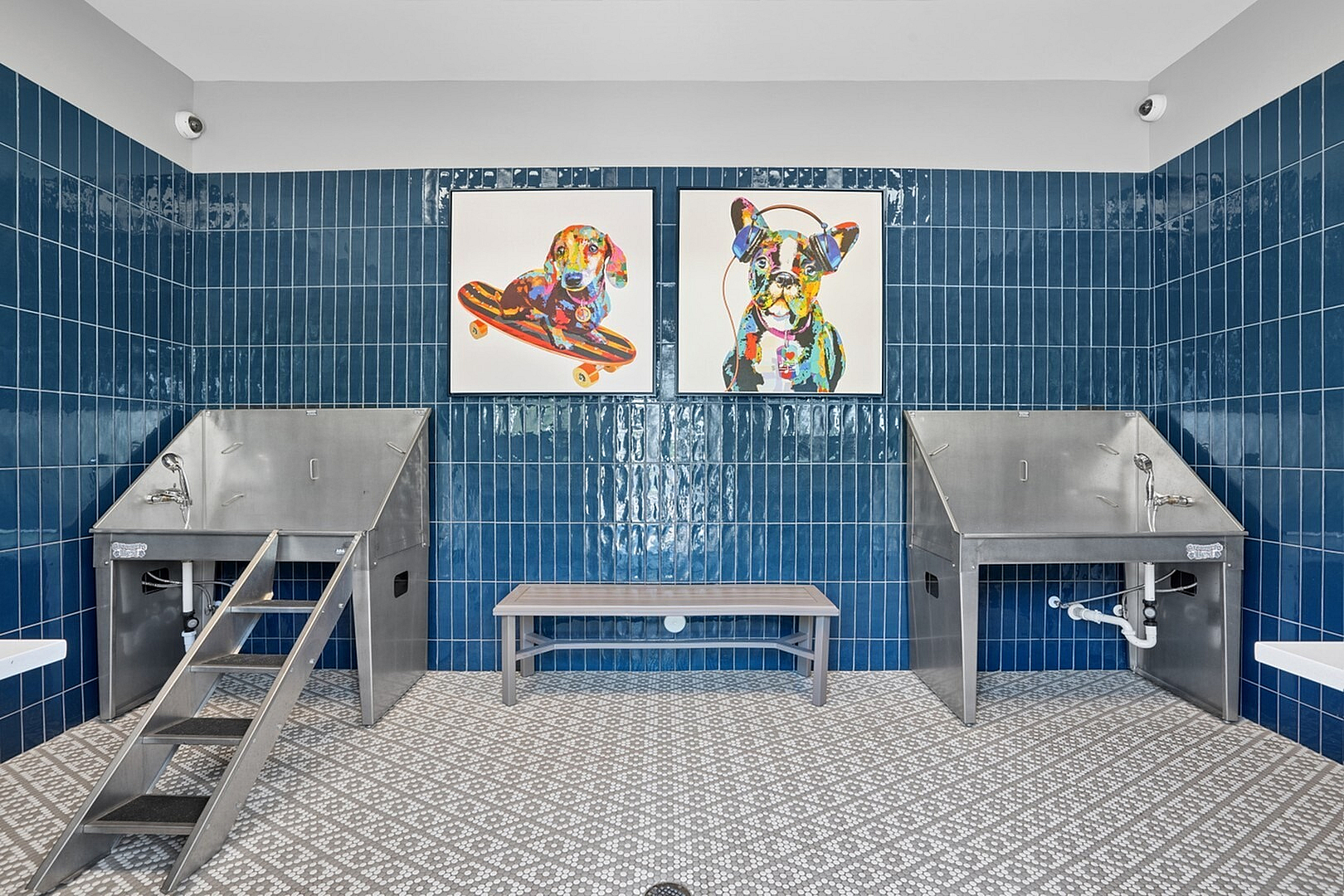 Modern pet washing station with vibrant dog art, stainless steel tubs, and stylish blue tiles.