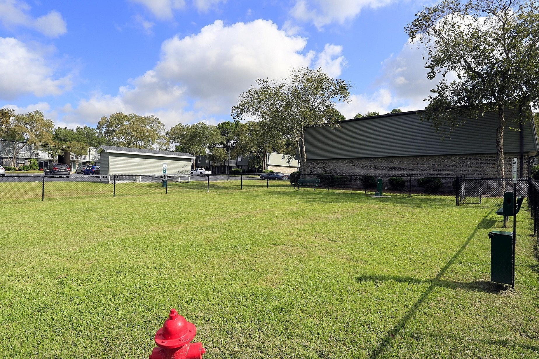 Inviting community green space with lush grass and mature trees, ideal for relaxation and outdoor activities, against a backdrop of charming residential buildings.