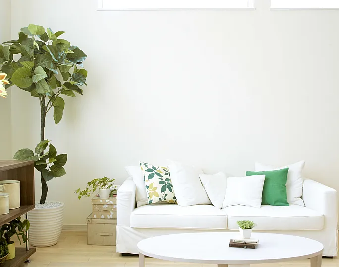 Bright living room with white sofa, green accent pillows, potted plant, and modern decor.