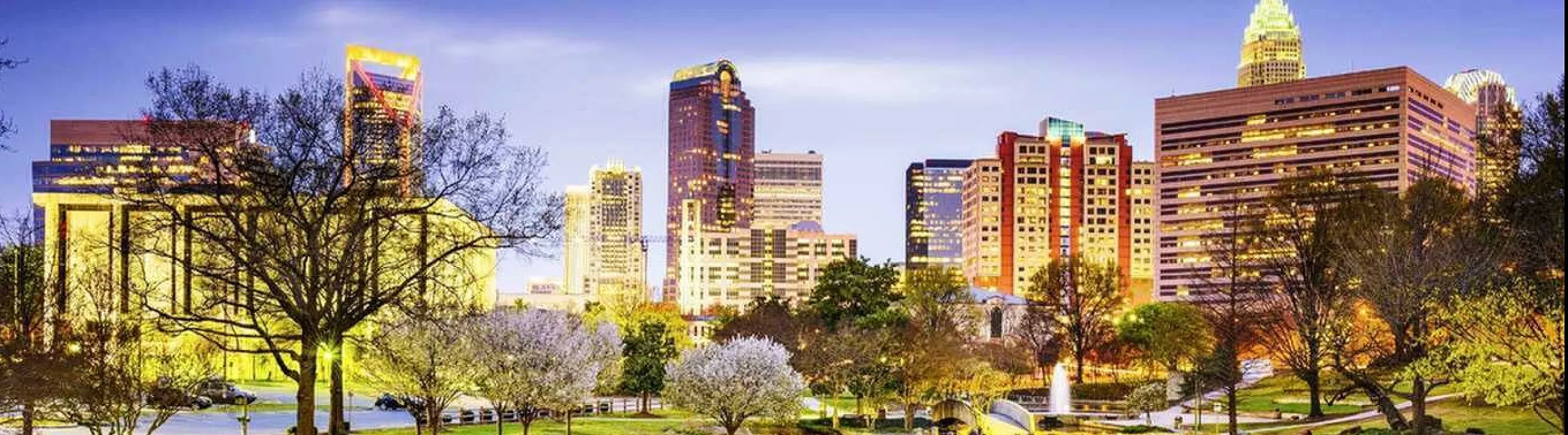 Vibrant cityscape featuring a stunning skyline with illuminated skyscrapers reflected in a serene park pond, surrounded by lush greenery and trees.