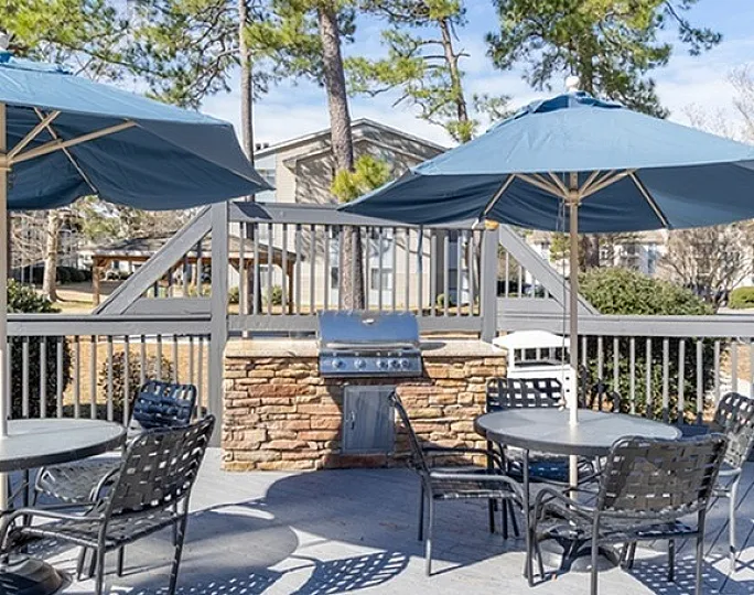 Charming outdoor patio with blue umbrellas, modern grill, and scenic wooded backdrop, perfect for entertaining.