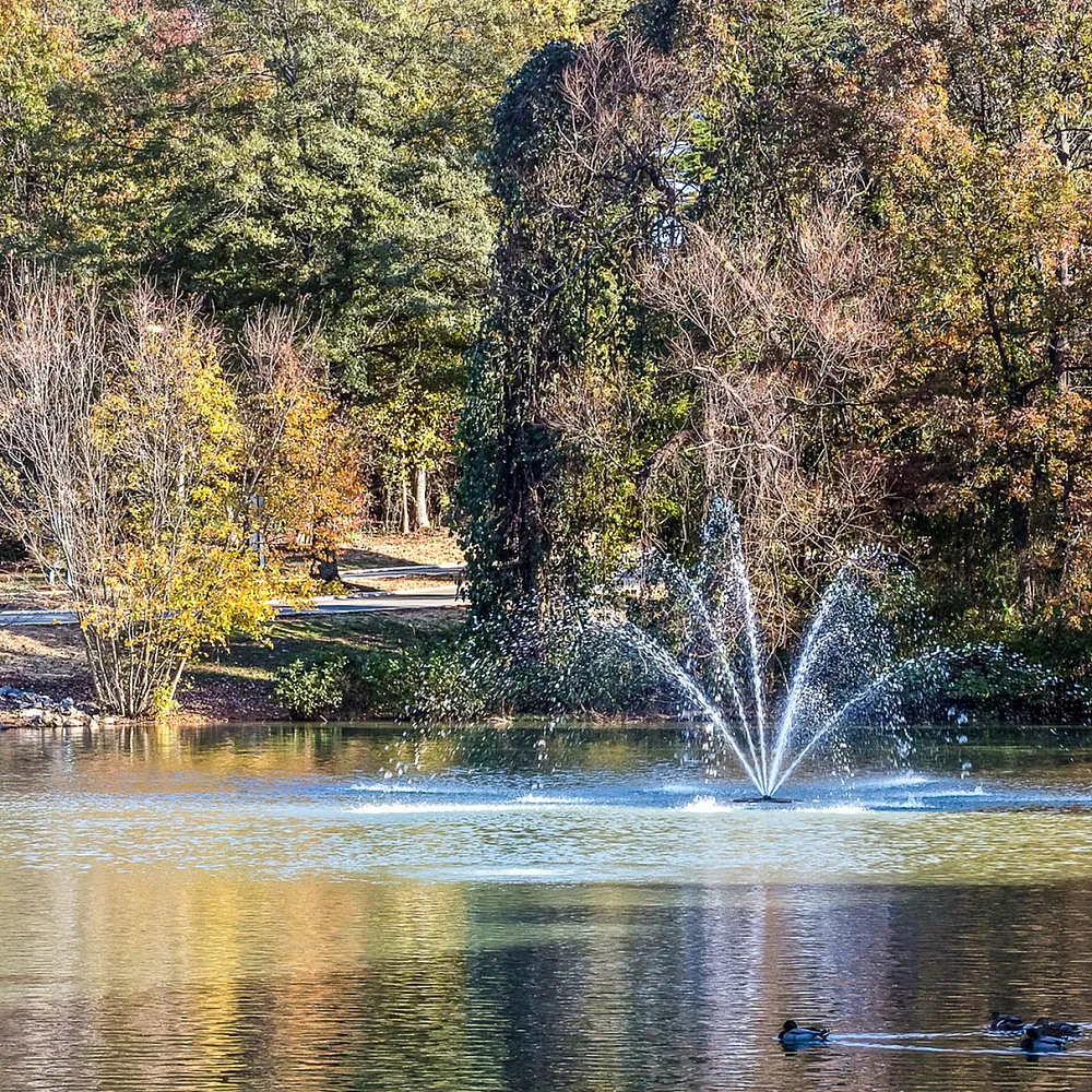 Tranquil park scene with a vibrant fountain spraying water in a serene lake, surrounded by lush autumn trees and a peaceful walking path.