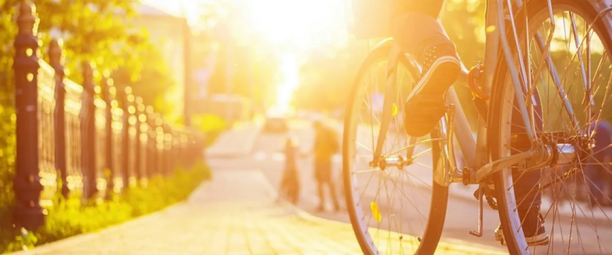 Sun-drenched morning scene with a cyclist on a peaceful, tree-lined brick path, perfect for leisurely rides.