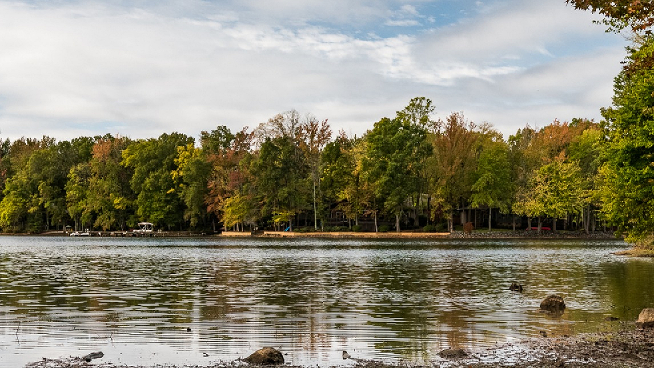 Serene lakeside view with lush green trees and a tranquil water scene, perfect for nature lovers.